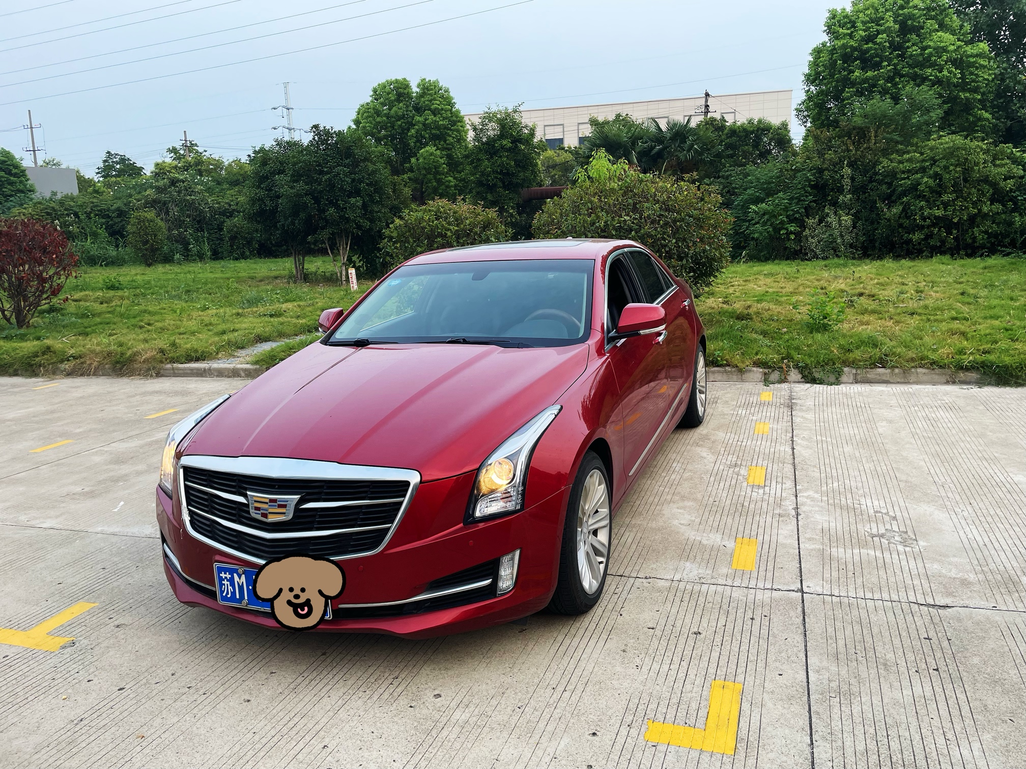 【置顶】自用凯迪拉克2017年7月份上牌，保险可查，无事故，去年刚换了原装四轮胎，6 - 二手交易市场 - 泰无聊论坛