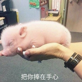 好岗位招人嘿嘿来面试吧 - 企业招聘 - 泰无聊论坛